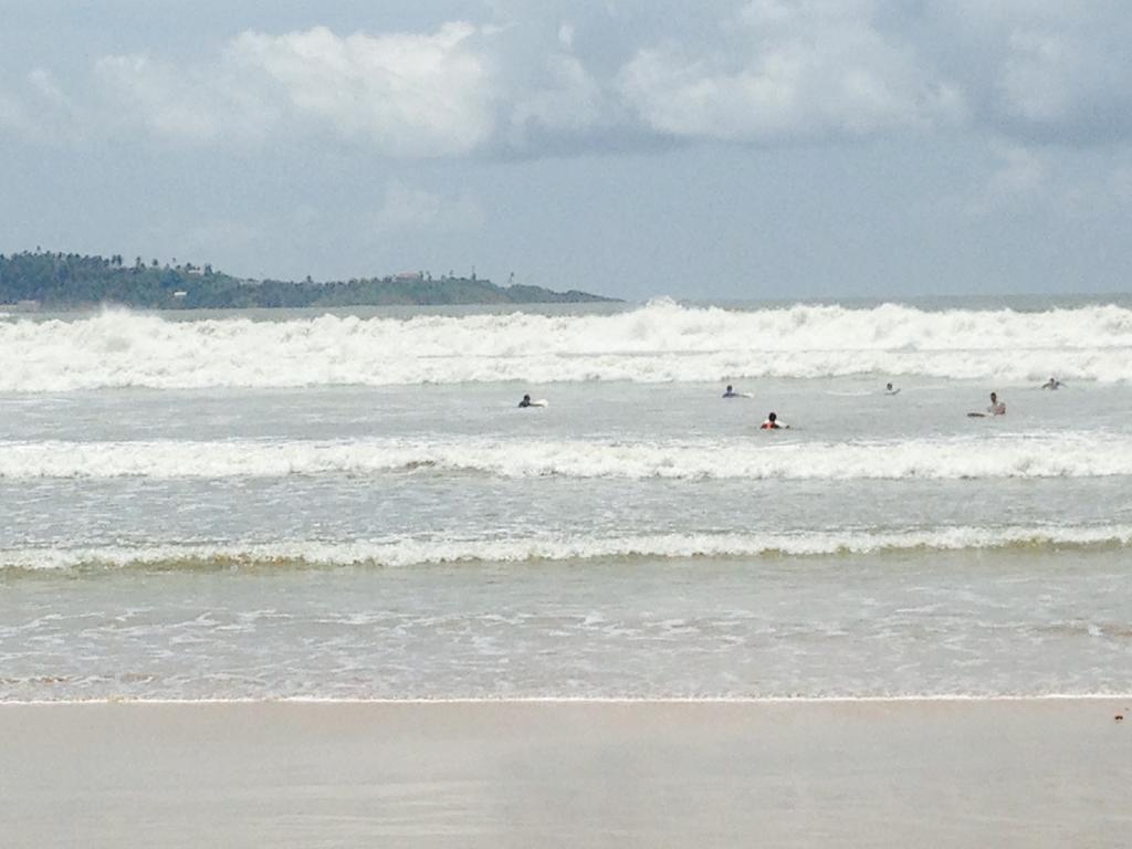 Fern Dale Villa Weligama Eksteriør bilde